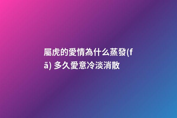 屬虎的愛情為什么蒸發(fā) 多久愛意冷淡消散